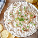 Crockpot-Onion-Dip-Recipe
