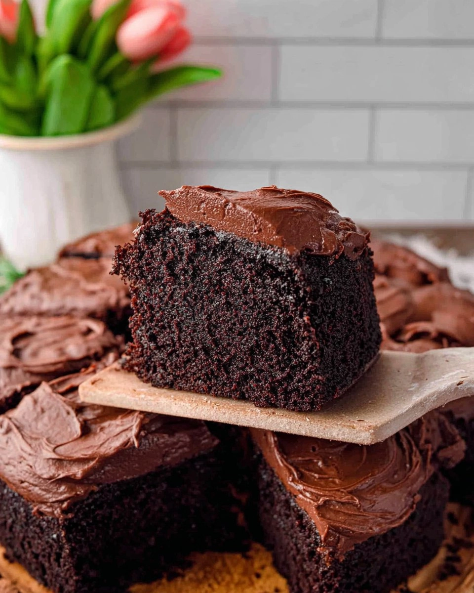Chocolate Zucchini Cake